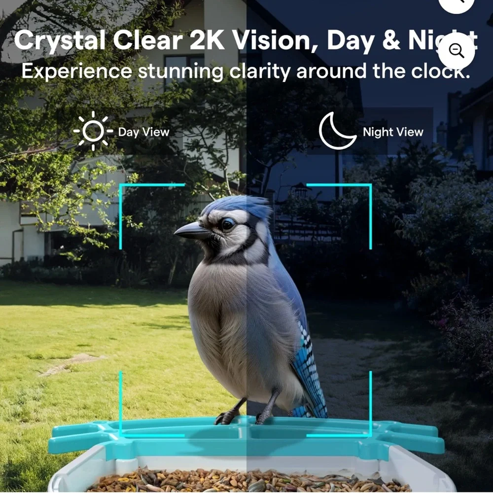 Solar-Powered Bird Feeder with Camera - Orange